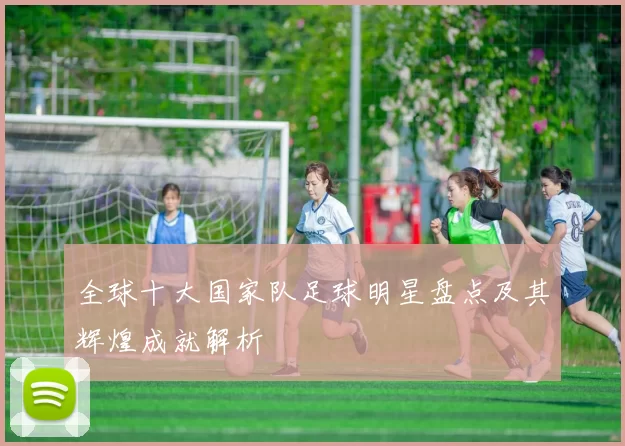 全球十大国家队足球明星盘点及其辉煌成就解析