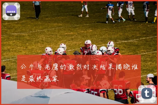公牛与老鹰的激烈对决结果揭晓谁是最终赢家