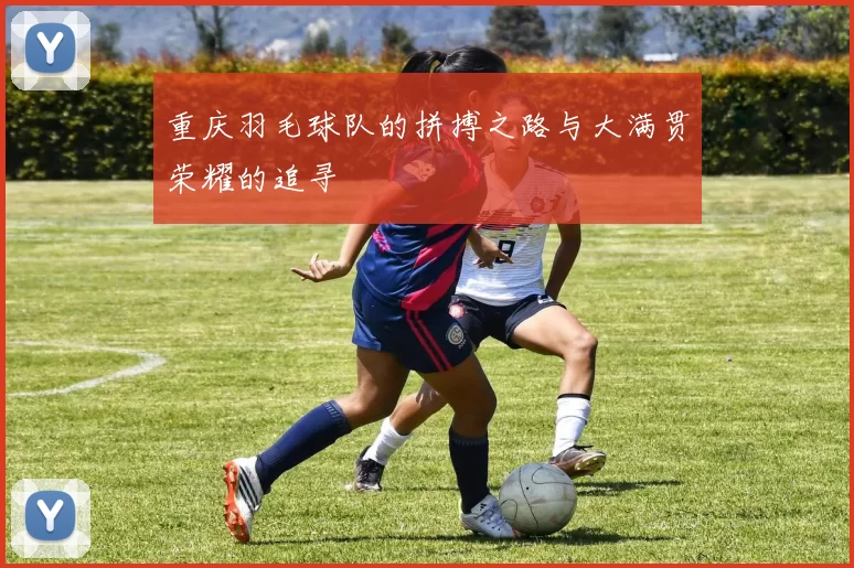 重庆羽毛球队的拼搏之路与大满贯荣耀的追寻