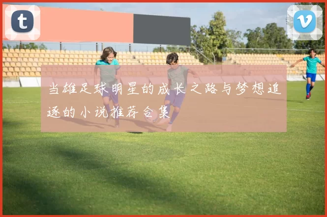 当雄足球明星的成长之路与梦想追逐的小说推荐合集
