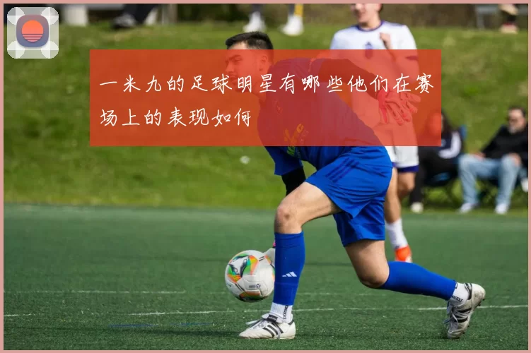 一米九的足球明星有哪些他们在赛场上的表现如何