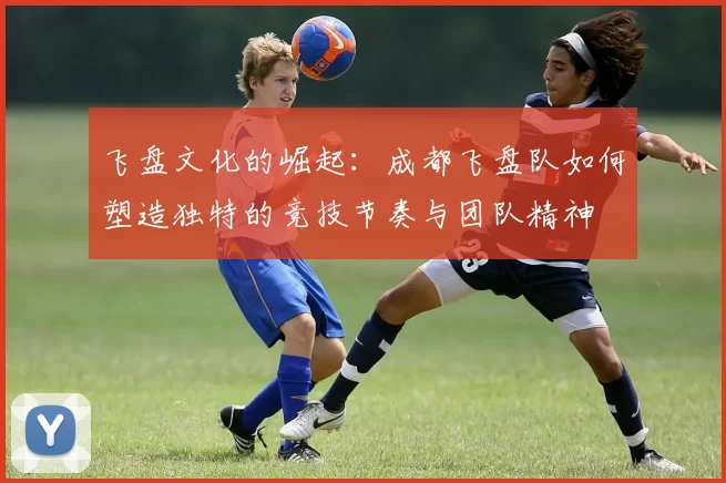 飞盘文化的崛起：成都飞盘队如何塑造独特的竞技节奏与团队精神