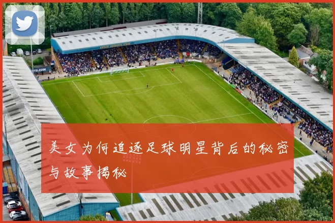 美女为何追逐足球明星背后的秘密与故事揭秘